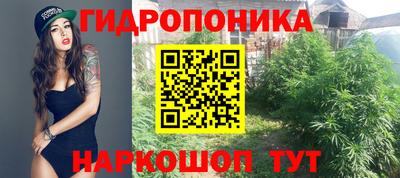 каннабис Гай