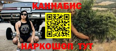 скорость Гатчина