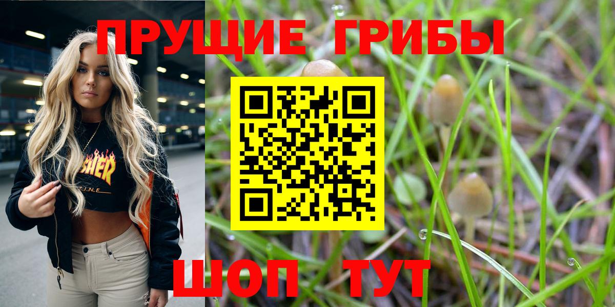 Галлюциногенные грибы GOLDEN TEACHER  Галлюциногенные грибы Cubensis  Донской  Вход с VPN 