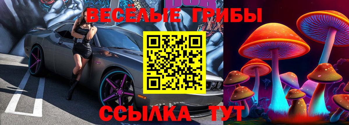 Галлюциногенные грибы MAGIC MUSHROOMS Донской